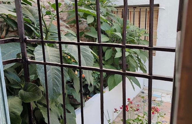 Mina25 by 7Escalones - Foto 21