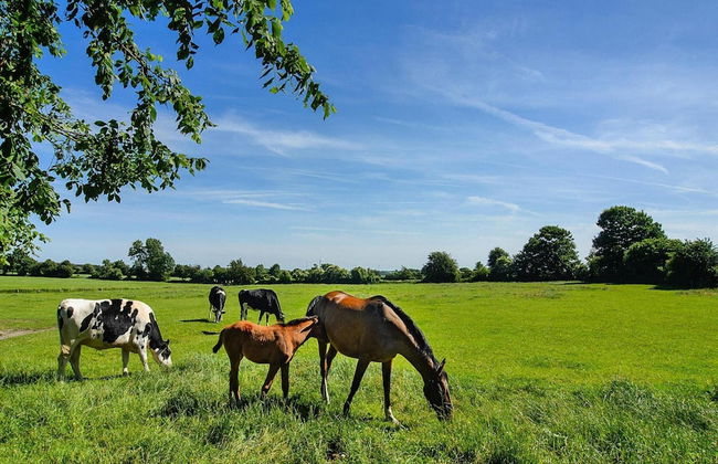 Doppelhaushaelfte Posthus, Behrendorf - Photo 18