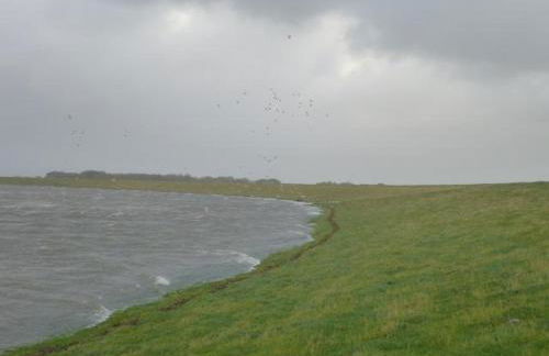 Das Koogsbauernhaus - Foto 22