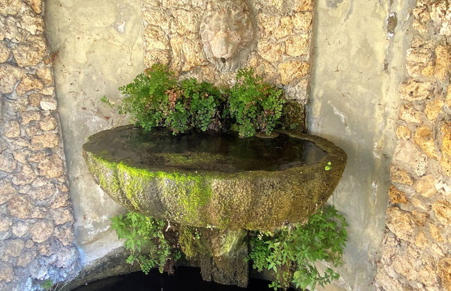 Villa Grassina - Foto 30