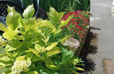 Mar Tu Apartamento en Llanes - Foto 38