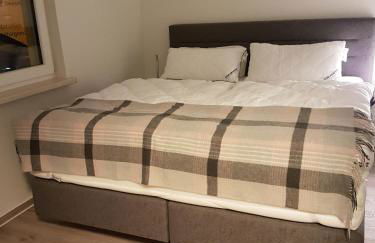 Sonnenstrahl im Küstenwald - Foto 7