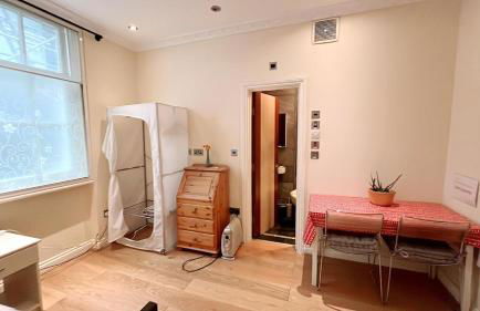301 Self contained studio in heart of London - Foto 10