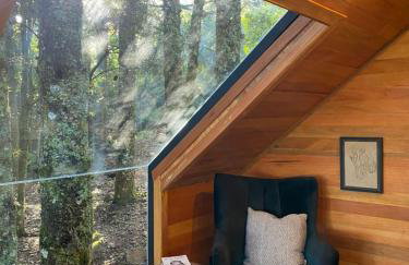 La negra - cabana entre araucárias - Foto 25