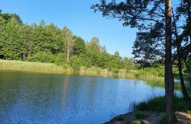 Folkowa Chatka- Kaszubska Ostoja - Foto 15