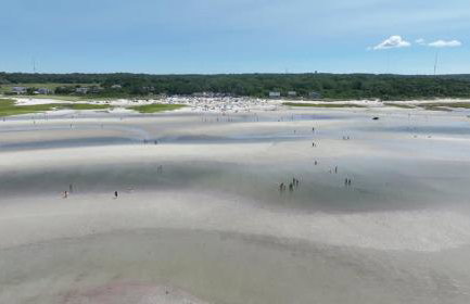 Pondfront 1 Mile to Nauset Beach - Photo 39