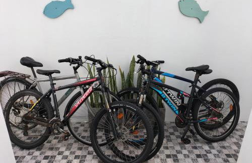 Cantinho do Ilhéu - Photo 113