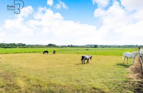 No 1 PolkaStays Ivy Farm Willow Cottage - Foto 6