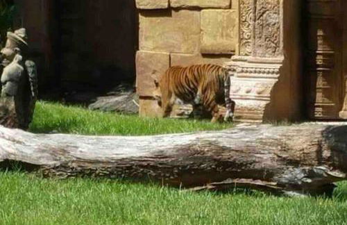 Amazing & cozy Duplex near Zoo Miami ! - Foto 95