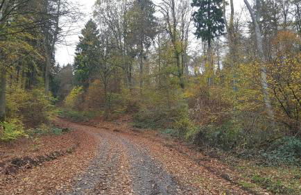 Apartment Am Sternberg 236 - Foto 65