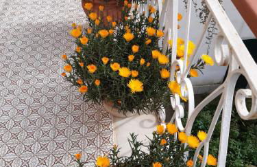 La casa di Rosa - Casa Vacanze - Photo 12