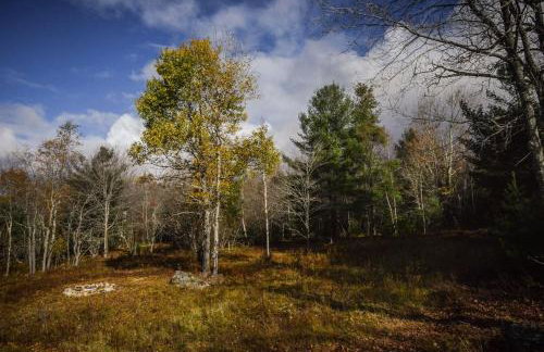 Colgate Lake Lodge - Foto 49