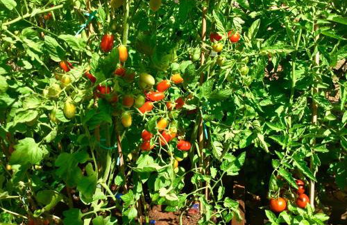 HERITAGE Villa AQUAMARINE - Foto 26