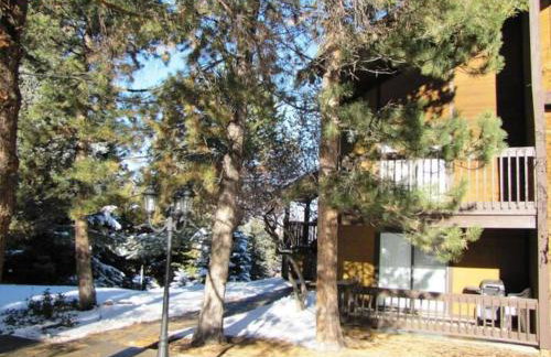 Dont miss the Main level Cozy Winter Retreat - Photo 26