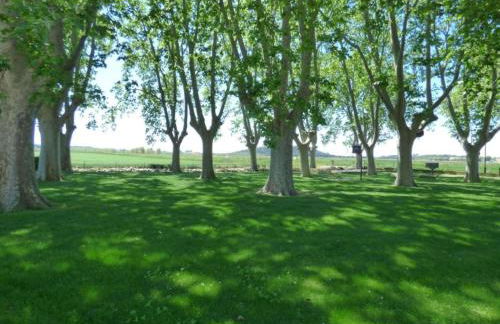 Provencal House in Seillans with Pool - Foto 40