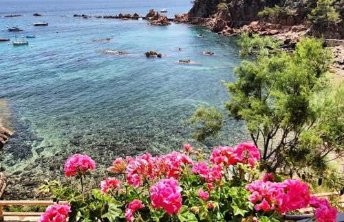 Villa à Rosamar - Foto 20