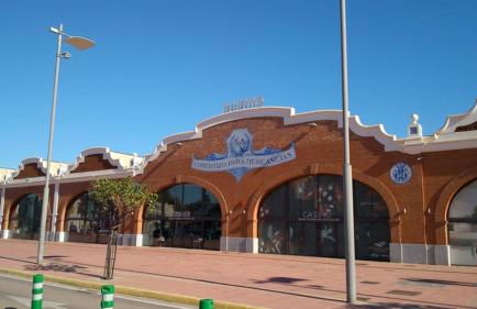 APARTAMENTO TURISTICO ELCANO - Photo 29