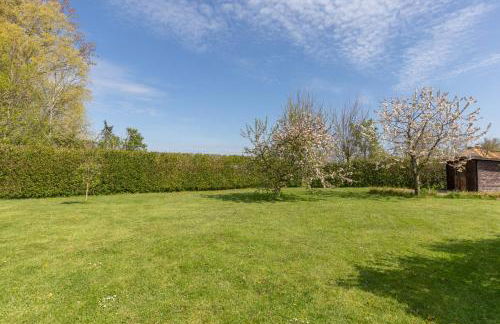 Pura Vida 2 - Photo 17