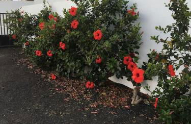 PERLE DES MEERES - Foto 7