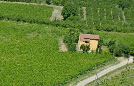 Agriturismo Nobile - Photo 32