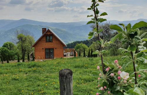 Domek Góralski Piwowarówka - Foto 70