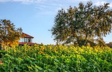 Foxen Canyon Retreat by Paradise Retreats - Foto 33