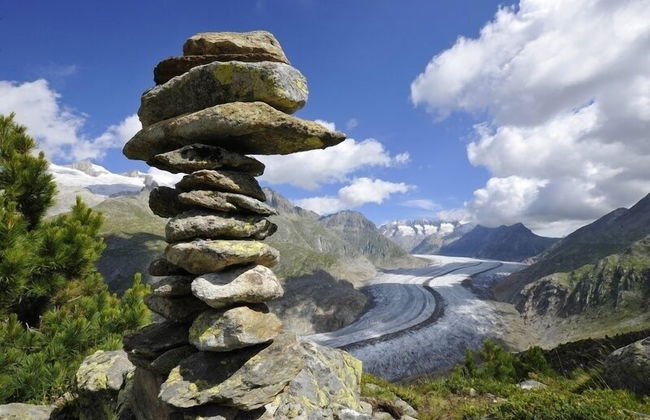 Nachtigall OG - Foto 22