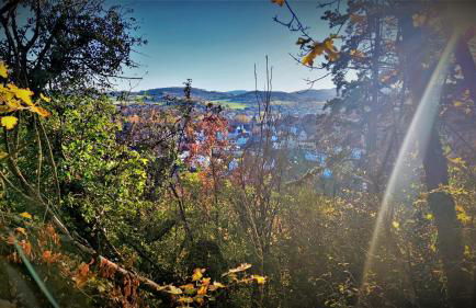 Ferienhaus Laange - Foto 28