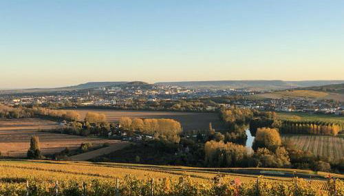 46 Paul Chandon Epernay - Foto 2