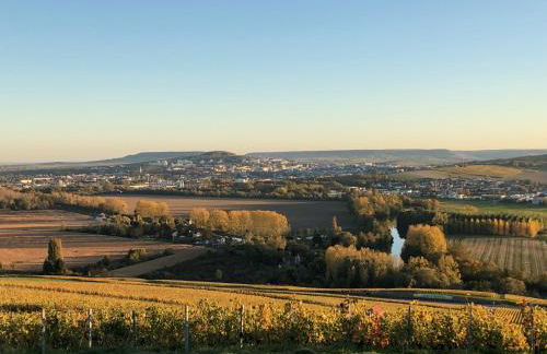 46 Paul Chandon Epernay - Foto 2