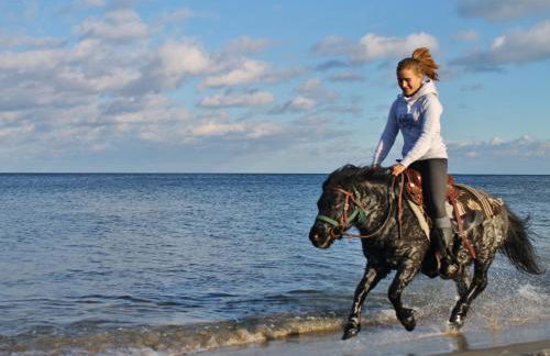 Strandnahe Ferienwohnungen mit Garten - Foto 8