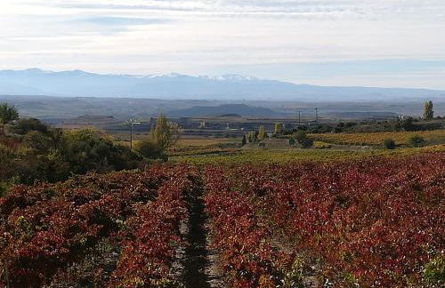 La Casa de Alberto - Foto 8