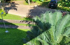 Green Toque-Toque - Foto 43