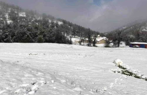Waxberry Getaway Sequoia/Kings Canyon National Pks - Foto 38