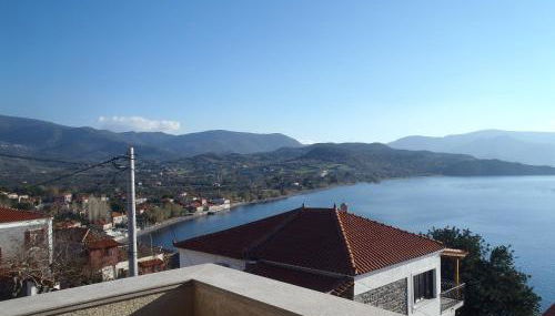 Grand View Rhea - Photo 2