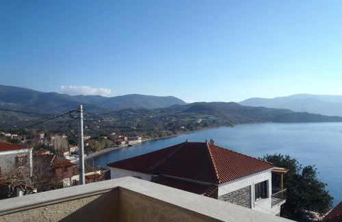 Grand View Rhea - Photo 2