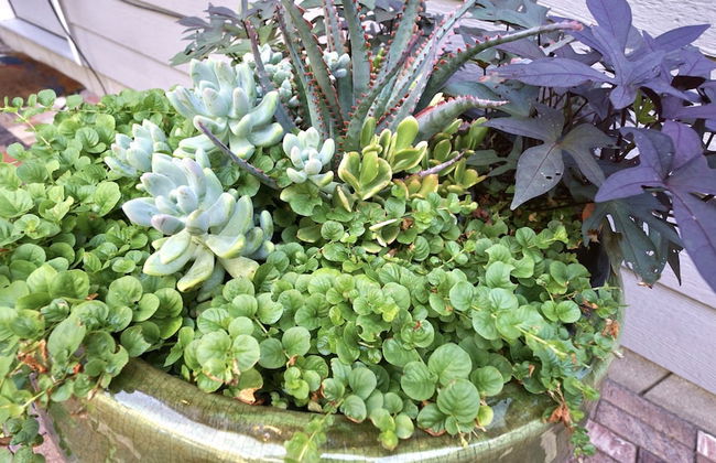 Gorgeous Guest Suite! Walk to Old Town & Csu! - Foto 23