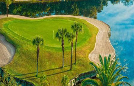 Golf Privileges with Pool near Wellen Park and Atlanta Braves stadium - Foto 1