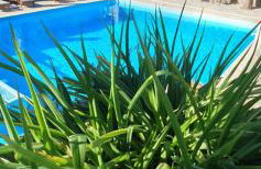 Elia Village by Irida Iris Group - Foto 41