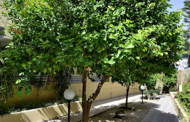 Napa Prince Hotel Apartments - Foto 58