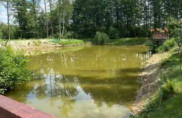 Filipowe Zacisze - Foto 27