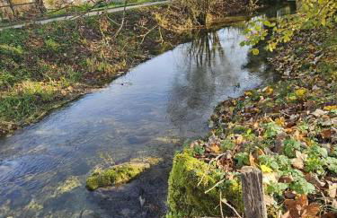 Mon pinot bord de l'eau - Foto 6