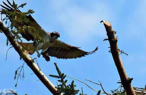 Fern Lodge - Foto 25