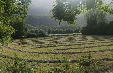 APARTAMENT BETTY - Foto 24