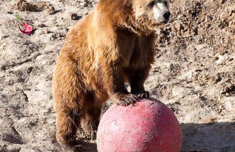 Wellness Retreat - Sauna - Hot Tub - Broomfield - Foto 74