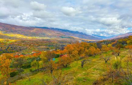 La Seguirilla del Jerte - Foto 45