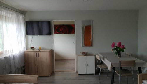 Mainzimmer Business Appartment - Monteurwohnung mit Burgblick - Foto 2