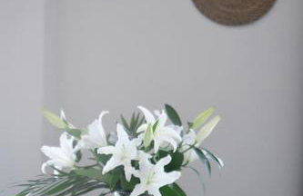 Olivea's House - Foto 19