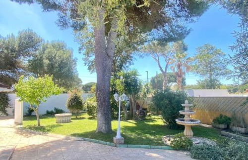 Marisma Home - Foto 15