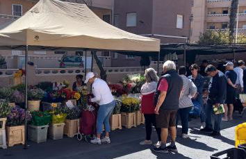 Bonito Apartamento 150 m de la playa La Mata - Foto 52